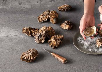 Кварцевый агломерат Caesarstone (Израиль) 4033 Rugged Concrete